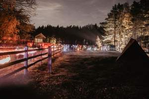 St. Martin hoch zu Roß beim Martinsfest im LandPark Lauenbrück