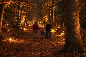 LandPark-Entdeckertour mit dem Omatorrad_Copyright Lutz Hilken