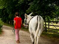 Man kann auch mit den Esel ohne Reiter spazieren gehen