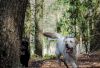 Zwei Hunde im Hundetobewald
