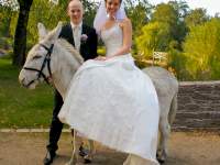 Brautpaar im LandPark mit weißem Esel