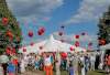 Luftballons mit Organspendeausweisen steigen in die Luft