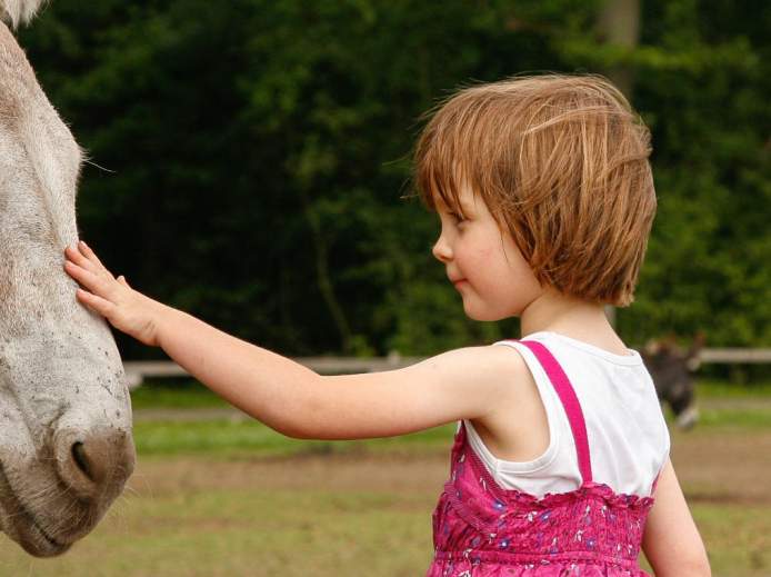 Mädchen streichelt Esel