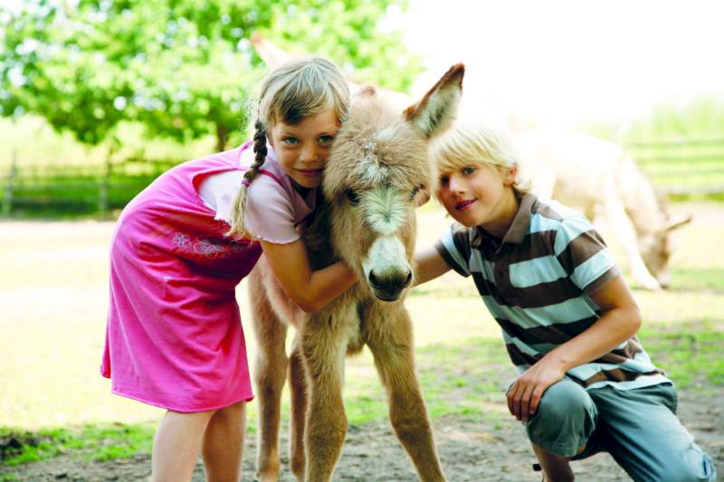 Ein Junge und ein Mädchen mit pinkem Kleid kuscheln mit einem Eselfohlen