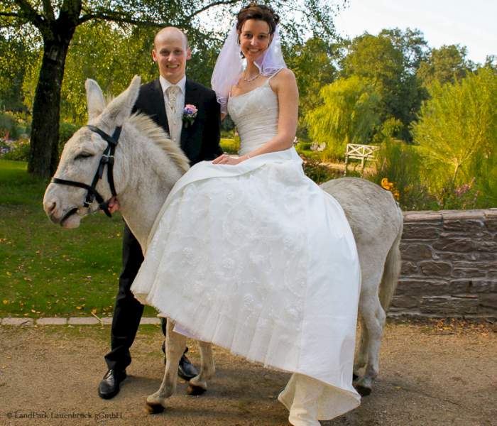 Brautpaar im LandPark mit weißem Esel