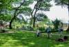 Wippen und Kreisel auf dem Spielplatz